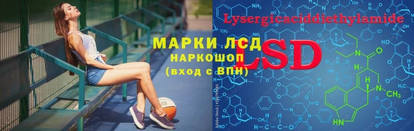 spice Богородицк