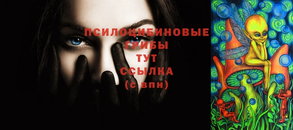 spice Богородицк