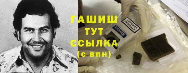 spice Богородицк