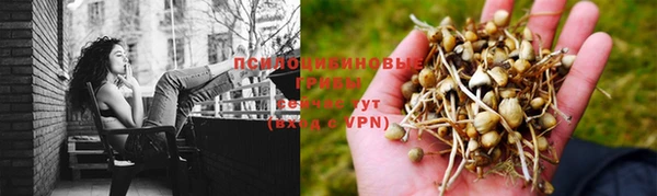 mix Богородск