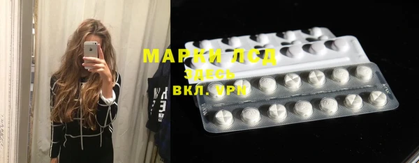 spice Богородицк