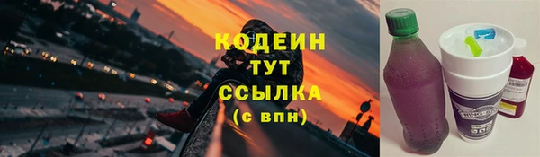 spice Богородицк