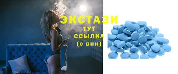 spice Богородицк