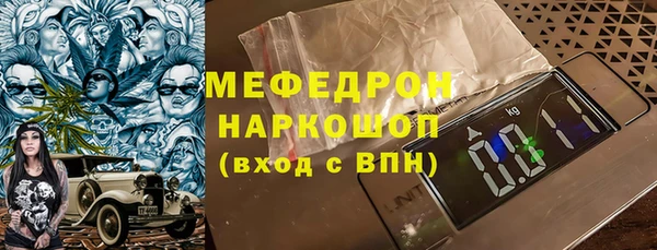 spice Богородицк