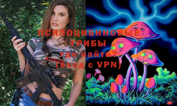 spice Богородицк