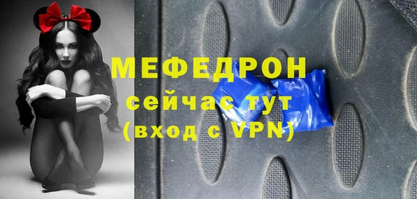 spice Богородицк