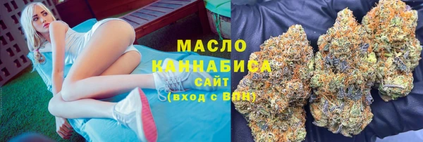 spice Богородицк
