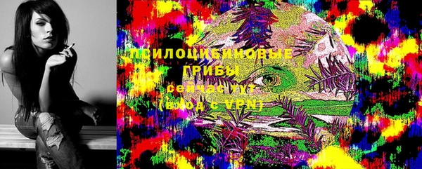 mix Богородск