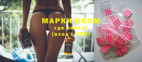 spice Богородицк